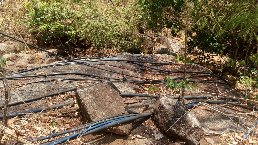 Captação de água em Taquaruçu