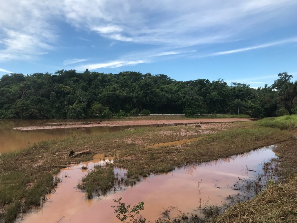 Assoreamento no parque Cesamar aponta sinais de degradação ambiental em áreas de&nbsp;Conservação.