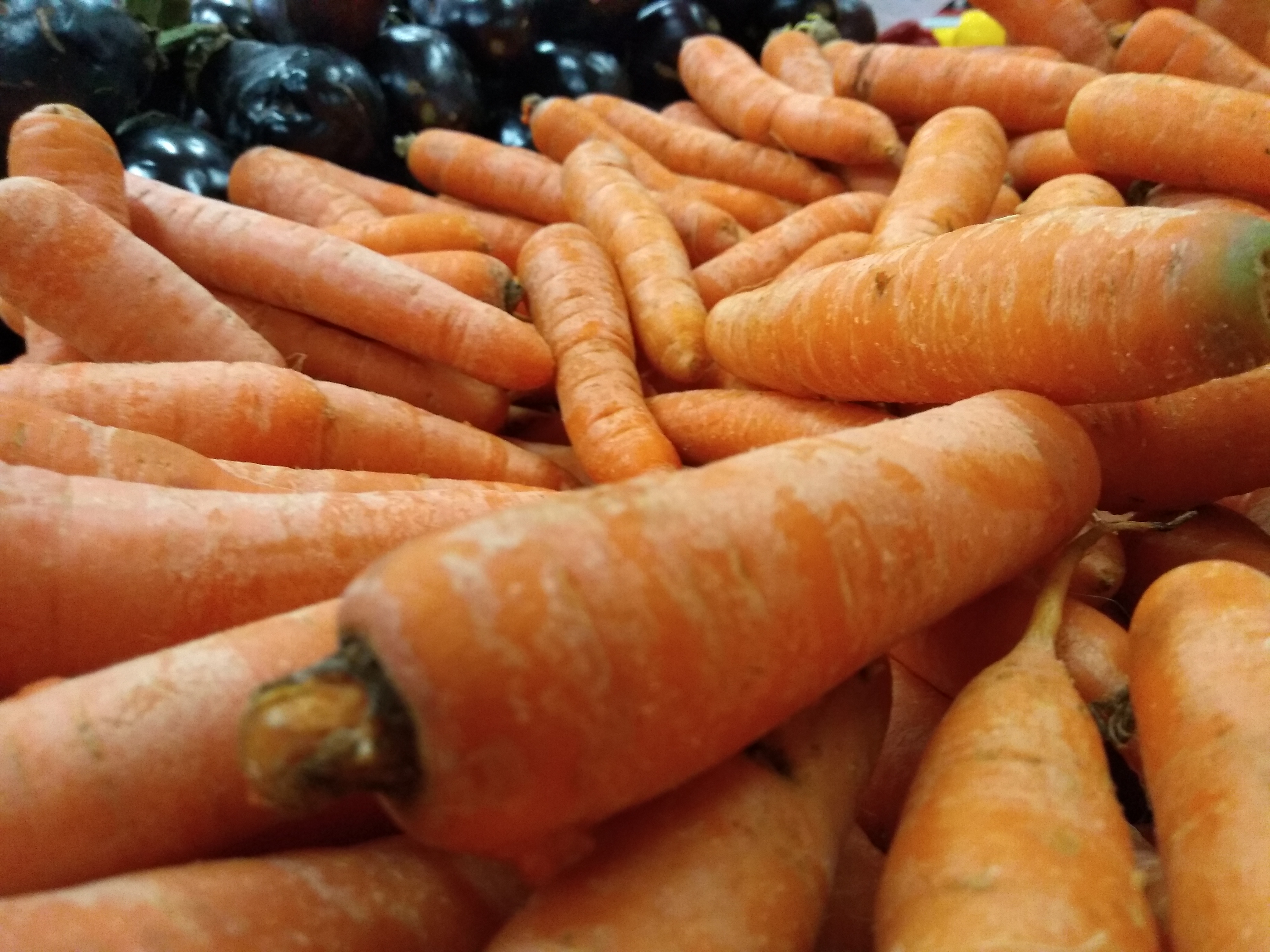 Foto 2-Lys Apolinário-legenda-A maior parte dos alimentos se perde no transporte até o mercado