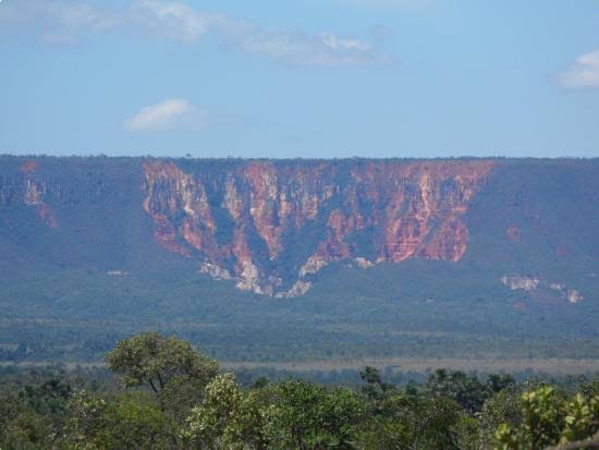 Projeto de Lei que isenta licença ambiental deve ser discutido pela sociedade civil na semana do meio&nbsp;ambiente