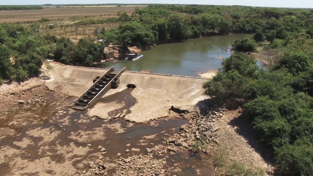 MST realiza ato em defesa do Cerrado e contra o racismo&nbsp;ambiental