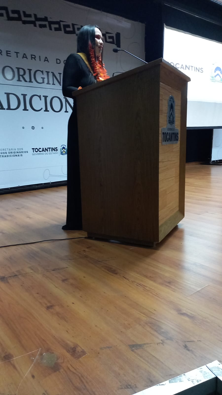 UM POVO ORIGINÁRIO ADENTRA O PALÁCIO ARAGUAIA,  ALTERANDO A CONFIGURAÇÃO DO&nbsp;PODER