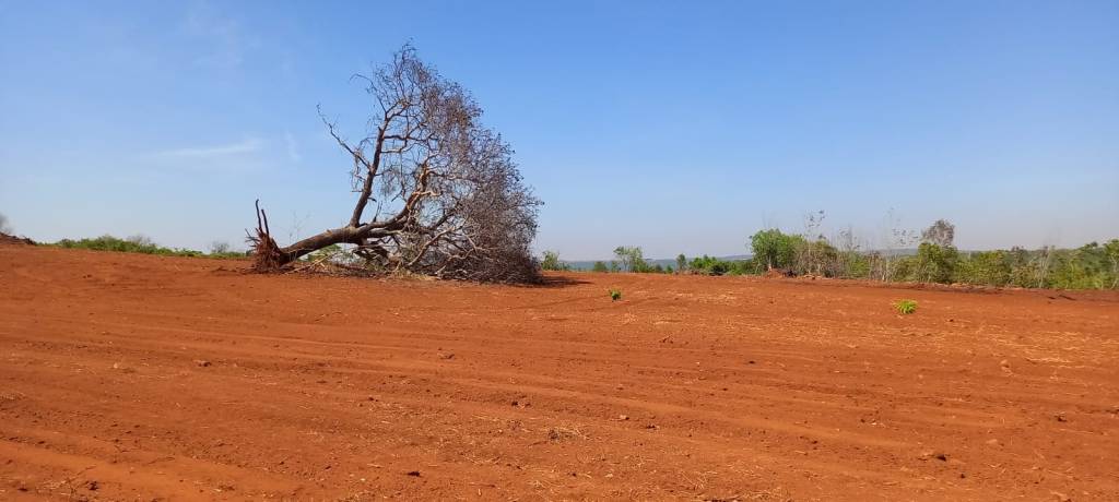 Com dificuldades Comunidades rurais do Tocantins  mostram o poder do&nbsp;associativismo