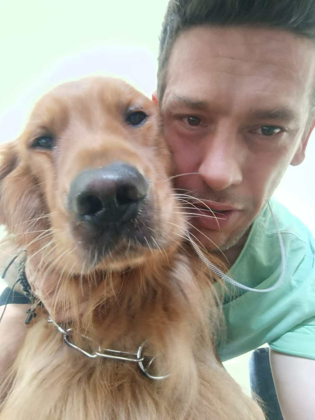 HOJE É O DIA NACIONAL DO CÃO&nbsp;GUIA