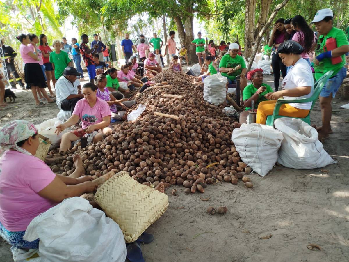 Rede solidária de estímulo à agricultura familiar cadastra novos&nbsp;integrantes