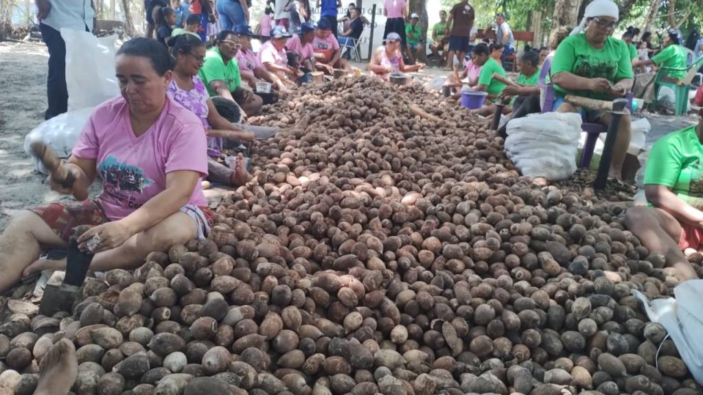 Mulheres geram renda, empreendem, inovam, preservam a cultura e revigoram o cerrado&nbsp;tocantinense