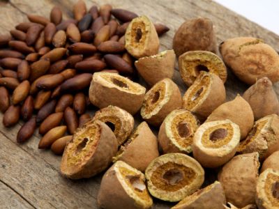 AMANHÃ É DIA DO&nbsp;BARU